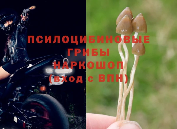 меф Абдулино